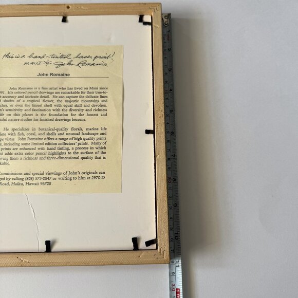 Hawaiian Botanical Bird of Paradise Art Print Set of 2 - Picture 7 of 8